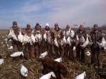 Guided Spring Snow Goose Hunts - Mound City, Missouri - 402-304-1192